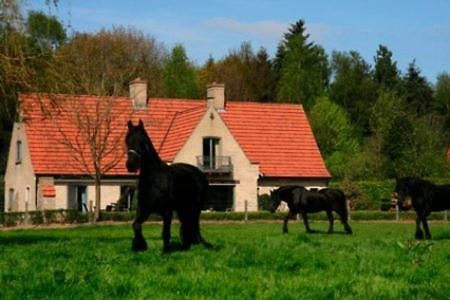 B&B Heerlijkhyd Hertsberge Dış mekan fotoğraf