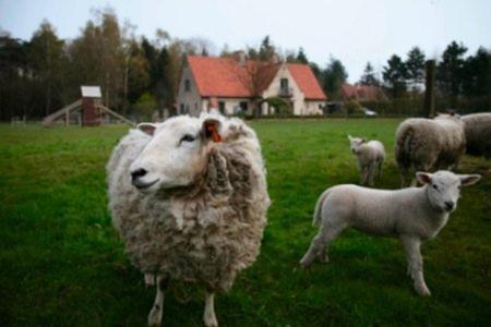 B&B Heerlijkhyd Hertsberge Dış mekan fotoğraf